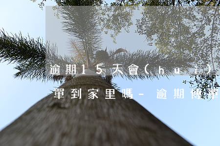 逾期15天會(huì)起訴發(fā)傳單到家里嗎-逾期傳單發(fā)到老家了