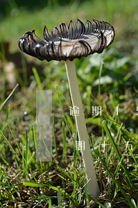 逾期15天還款會(huì)怎么樣(房貸逾期十五天左右有什么后果)