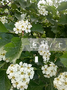 逾期15次可以貸款嘛(征信逾期16次可以貸款)