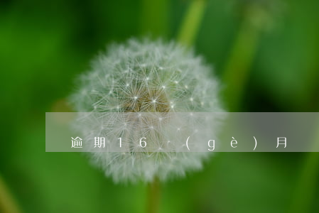 逾期16個(gè)月