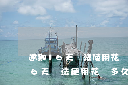 逾期16天無法使用花唄多久恢復-逾期16天無法使用花唄多久恢復正常