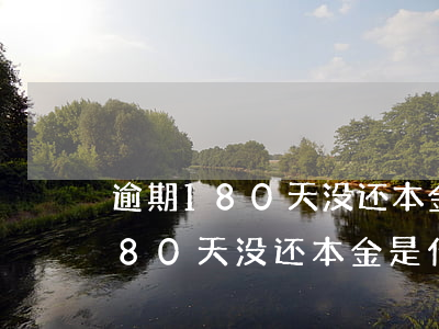 逾期180天没还本金是什么意思-逾期180天没还本金是什么意思啊