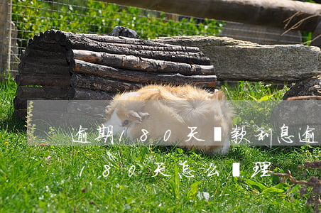 逾期180天貸款利息(逾期超過(guò)180天怎么處理)