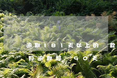 逾期181天以上的貸款(有21個(gè)月逾期超過90天)