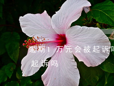 逾期1万元会被起诉吗(逾期一千多块钱会被起诉吗)