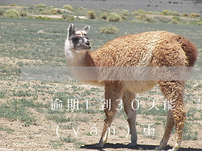 逾期1到30天能貸款嗎(貸款逾期20天嚴(yán)重嗎)