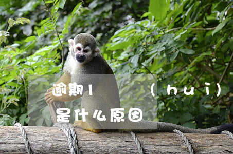 逾期1塊錢會(huì)起訴嗎-逾期1元是什么原因