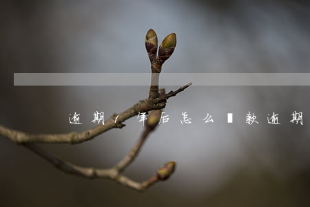 逾期1年后怎么還款(逾期一年多了怎么處理)