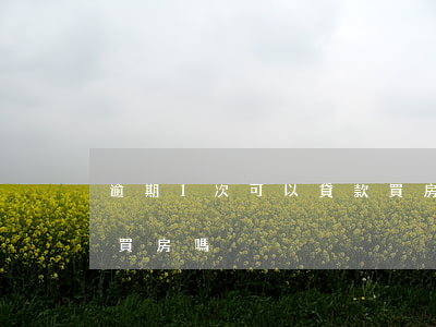 逾期1次可以貸款買房嗎(征信逾期1次可以買房嗎)