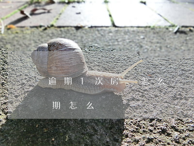 逾期1次房貸怎么選銀行(銀行貸款有一次逾期怎么辦)