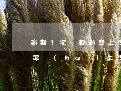 逾期1次貸款利率上浮(征信逾期按揭貸款利率會(huì)上浮多少)