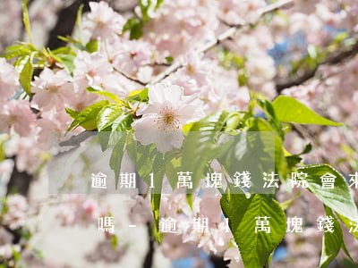 逾期1萬塊錢法院會來強制執(zhí)行嗎-逾期1萬塊錢法院會來強制執(zhí)行嗎知乎