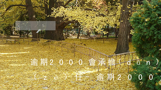 逾期2000會承擔(dān)什么民事責(zé)任-逾期2000元嚴(yán)重嗎