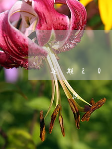 逾期200塊還能房貸嗎(逾期20多天還能貸款嗎)