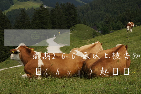 逾期200天以上被告知起訴了(逾期20天會(huì)起訴嗎)
