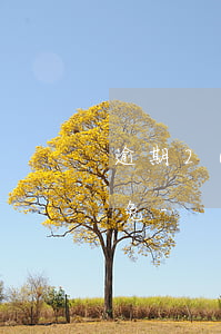 逾期200天怎樣申請(qǐng)逾期減免-