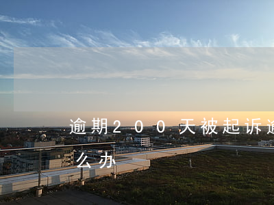 逾期200天被起诉(逾期200天被起诉怎么办)