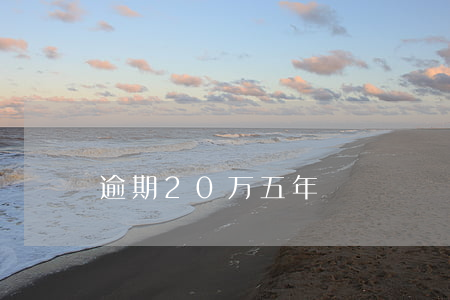 逾期20万五年