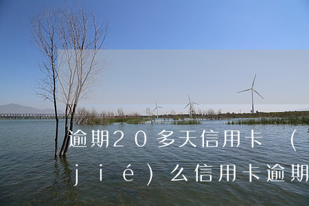 逾期20多天信用卡會(huì)被凍結(jié)么(信用卡 逾期 凍結(jié))