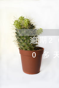 逾期20多天催收電話少了為什么-逾期20多天催收電話少了為什么呢