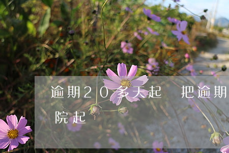 逾期20多天起訴把逾期的還了-逾期了法院起訴
