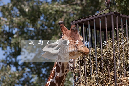 逾期20多次房貸(房貸逾期還款10多次)