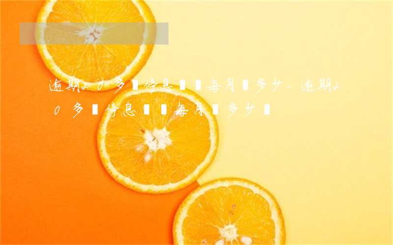逾期20多萬停息掛賬每月還多少-逾期20多萬停息掛賬每月還多少錢