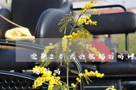 逾期20天会被起诉吗(网贷逾期20天会被起诉吗)