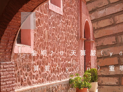 逾期20天算嚴(yán)重嗎(逾期20天算嚴(yán)重嗎)