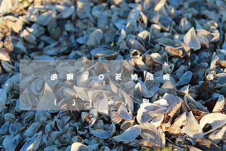 逾期20天被法院凍結(jié) 法院凍結(jié)到期