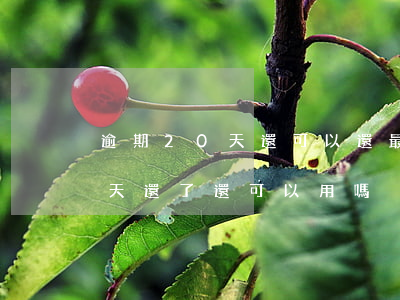 逾期20天還可以還最低還款么-逾期二十天還了還可以用嗎