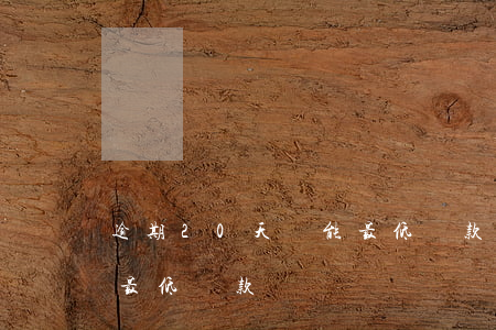 逾期20天還能最低還款嗎(逾期10天還能最低還款嗎)