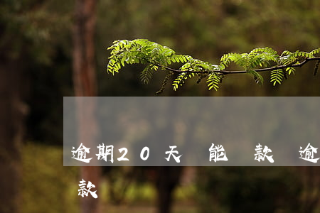 逾期20天還能貸款嗎(逾期20多天還能貸款嗎)