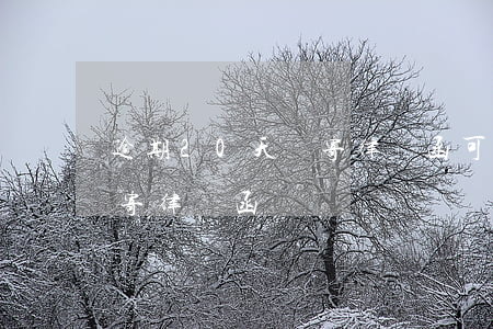 逾期20天郵寄律師函可以嗎（逾期20天郵寄律師函）