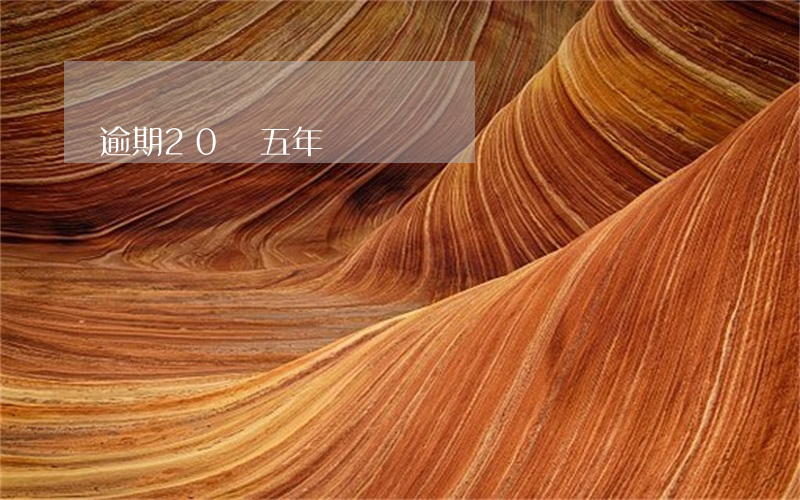 逾期20萬五年