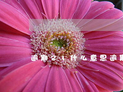 逾期2 1什么意思 逾期期數2