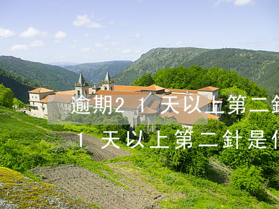 逾期21天以上第二針是什么意思-逾期21天以上第二針是什么意思啊