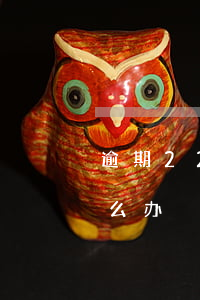 逾期22次还能办房贷吗(房贷逾期20次怎么办)
