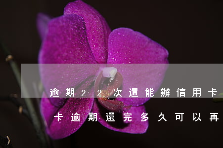 逾期22次還能辦信用卡嗎(2018年信用卡逾期還完多久可以再次申請)