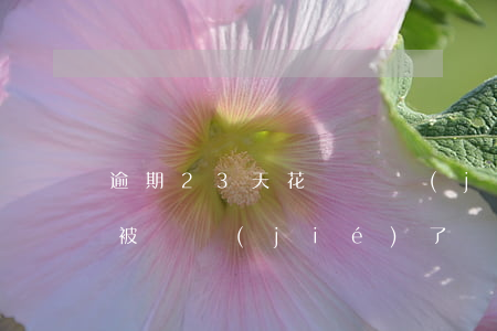 逾期23天花唄凍結(jié)(花唄因逾期被凍結(jié)了還有機(jī)會(huì)恢復(fù)嗎)