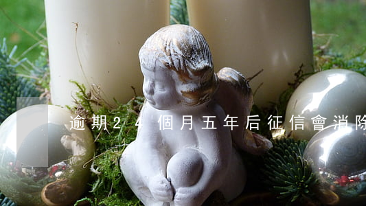 逾期24個月五年后征信會消除嗎