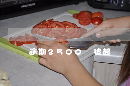 逾期2500會被起訴嗎(逾期1500會起訴嗎)