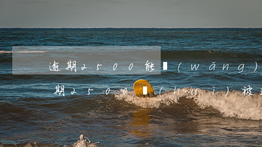逾期2500能網(wǎng)貸嗎上海 逾期2500會(huì)被起訴嗎