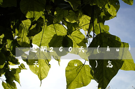 逾期260天會(huì)怎樣(逾期260天會(huì)怎樣處理)