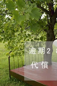 逾期28天嚴(yán)重嗎（逾期28天被代償）
