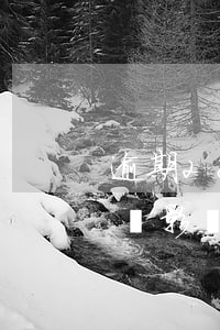 逾期28次能公積金貸款嗎，逾期28次是否會影響公積金貸款？