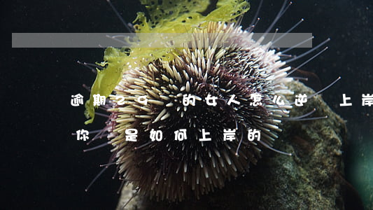 逾期29萬的女人怎么逆襲上岸 逾期50萬你們是如何上岸的