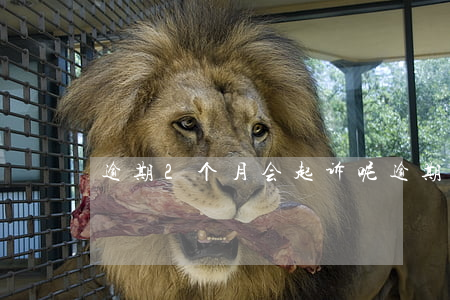 逾期2个月会起诉呢(逾期2个月会被起诉吗)