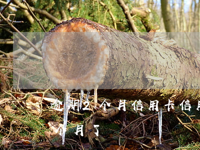 逾期2个月信用卡(信用卡20000逾期3个月了)
