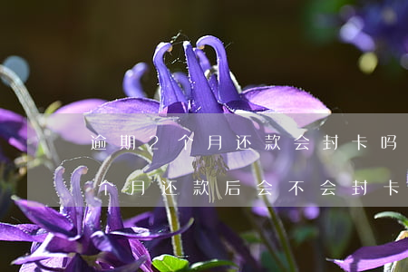 逾期2个月还款会封卡吗(农行信用卡逾期两个月还款后会不会封卡)